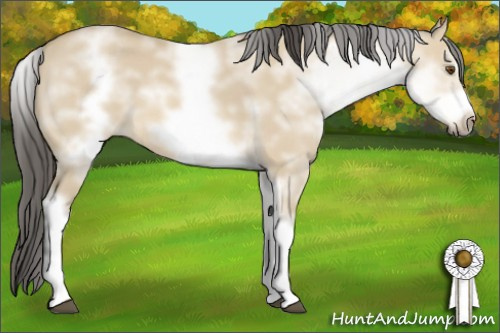 Horse Color: White Spotted Buckskin Dun Frame 