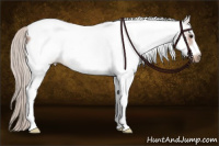 Horse Color:White Spotted Silver Bay Frame 