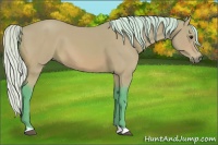 Horse Color:Watercolor Silver Bay
