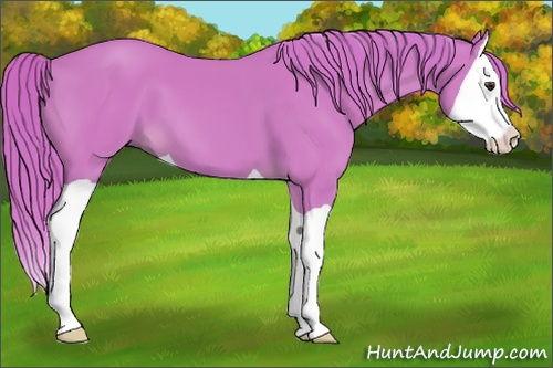Horse Color: Watercolor Chestnut Splash 