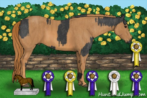 Horse Color: Black  Brindle
