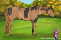 Horse Color:Black  Brindle