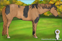 Horse Color:Black  Brindle