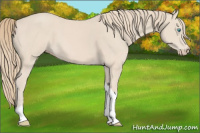 Horse Color:Smoky Creme Tobiano