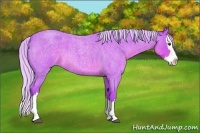 Horse Color:Watercolor Silver Bay Roan Sabino Splash 