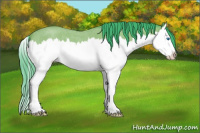 Horse Color:Watercolor Bay Roan Splash 