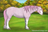 Horse Color:Watercolor Buckskin Roan Splash 