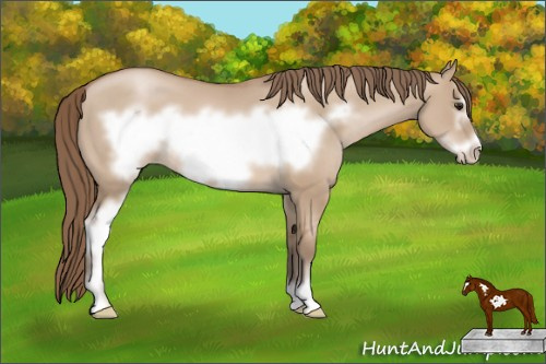 Horse Color: Brown Pearl Dun Sabino Frame 