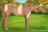 Horse Color:Smoky Black Pearl  Brindle