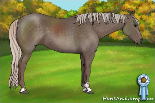 Horse Color: Silver Black Sabino 