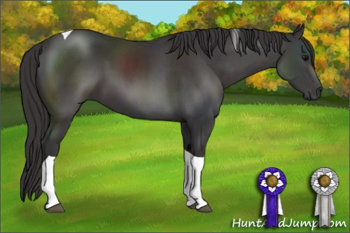 Horse Color: Smoky Black Sabino Tobiano 