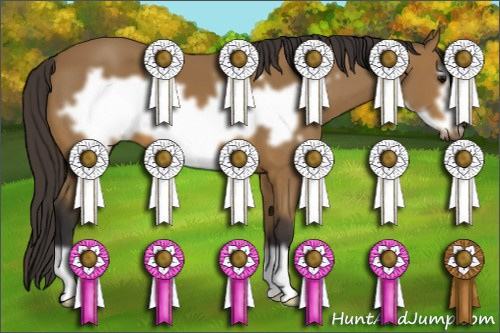 Horse Color: Buckskin Frame 