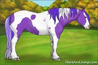 Horse Color:Watercolor Bay Sabino Splash Tobiano