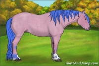 Horse Color:Watercolor Bay Roan Sabino 