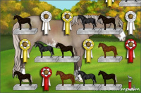 Horse Color:Silver Grullo Sabino