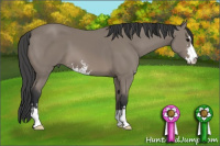 Horse Color:Black Sabino 