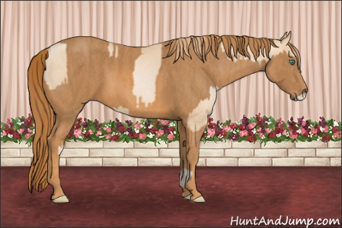 Horse Color: Smoky Black Pearl  Brindle