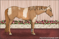 Horse Color:Smoky Black Pearl  Brindle