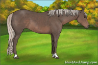 Horse Color:Silver Black 