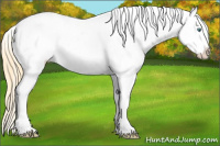 Horse Color:Smoky Grullo Pearl Sabino Splash Appaloosa Rabicano