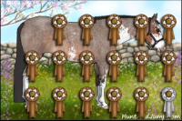 Horse Color:Brown Roan Sabino 