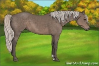 Horse Color:Silver Black Sabino 