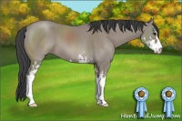 Horse Color:Grullo Sabino 