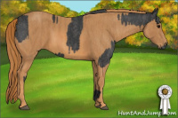 Horse Color:Blue Roan Brindle