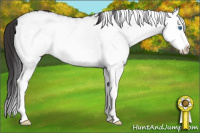 Horse Color:White Spotted Smoky Grullo Splash Rabicano