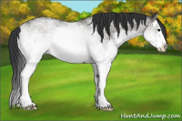 Horse Color:White Spotted Grullo Splash 