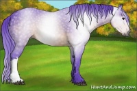 Horse Color:Gray Watercolor Brown 