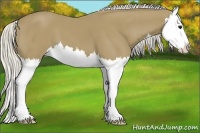 Horse Color:Silver Smoky Black Splash 