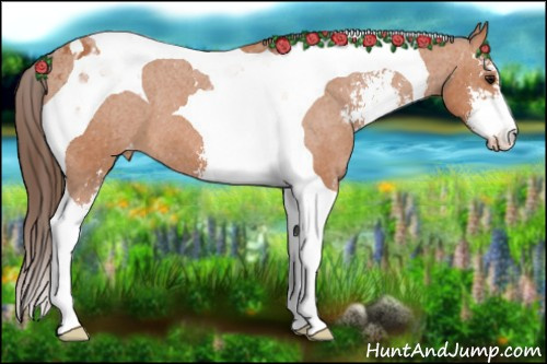 Horse Color: Bay Sabino Tobiano Varnish 