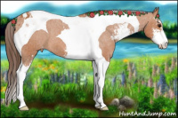 Horse Color:Bay Sabino Tobiano Varnish 