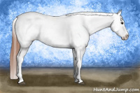 Horse Color:Bay Roan Snowcap 