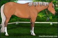 Horse Color:Silver Bay 