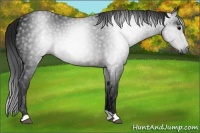 Horse Color:Gray Brown 