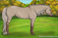 Horse Color:Silver Grullo Roan 