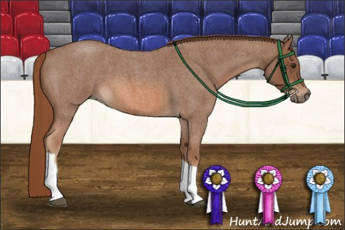 Horse Color: Red Roan Tobiano 