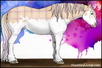 Horse Color:Plaid  Palomino Roan Dun Splash Frame Rabicano 