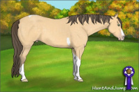 Horse Color:Amber Cream Champagne Splash Tobiano 