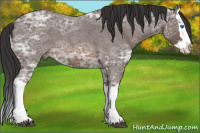 Horse Color:Brown Ice Roan Splash