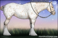 Horse Color:Amber Champagne Tobiano Appaloosa 