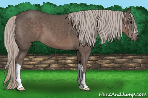 Horse Color: Silver Black 