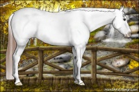 Horse Color:Chestnut Snowflake Varnish 