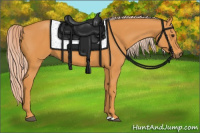 Horse Color:Palomino 