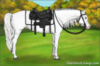 Horse Color:Silver Buckskin Dun Tobiano Blanket 
