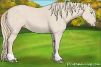 Horse Color:Smoky Creme 