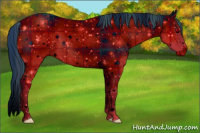 Horse Color:ERROR: UNKNOWN ANOMALY