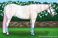 Horse Color:Watercolor Buckskin Ice Splash